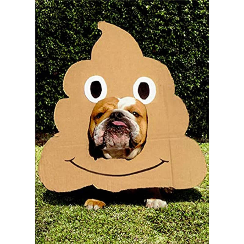 Avanti Just For Fun Card -  Bulldog Poop