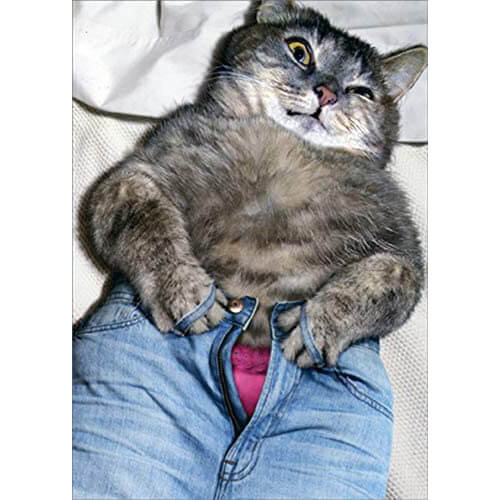 Avanti Just For Fun Card - Cat Button Jeans