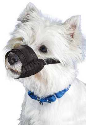 Petsafe Muzzle For Dogs
