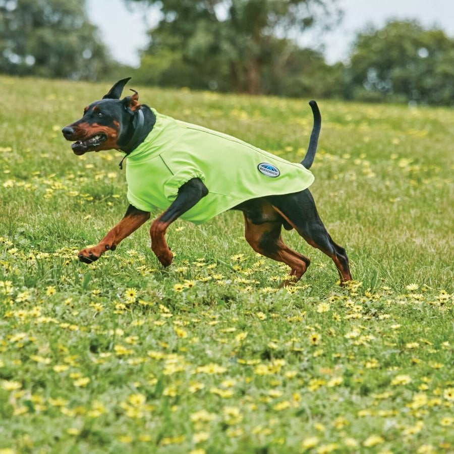 Weatherbeeta Comfitec Active Dog Coat