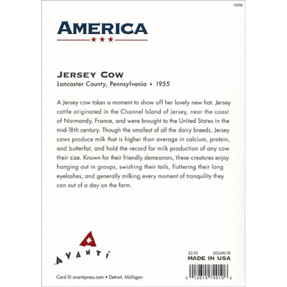 Avanti America Collection Greeting Card - Jersey Cow With Hat