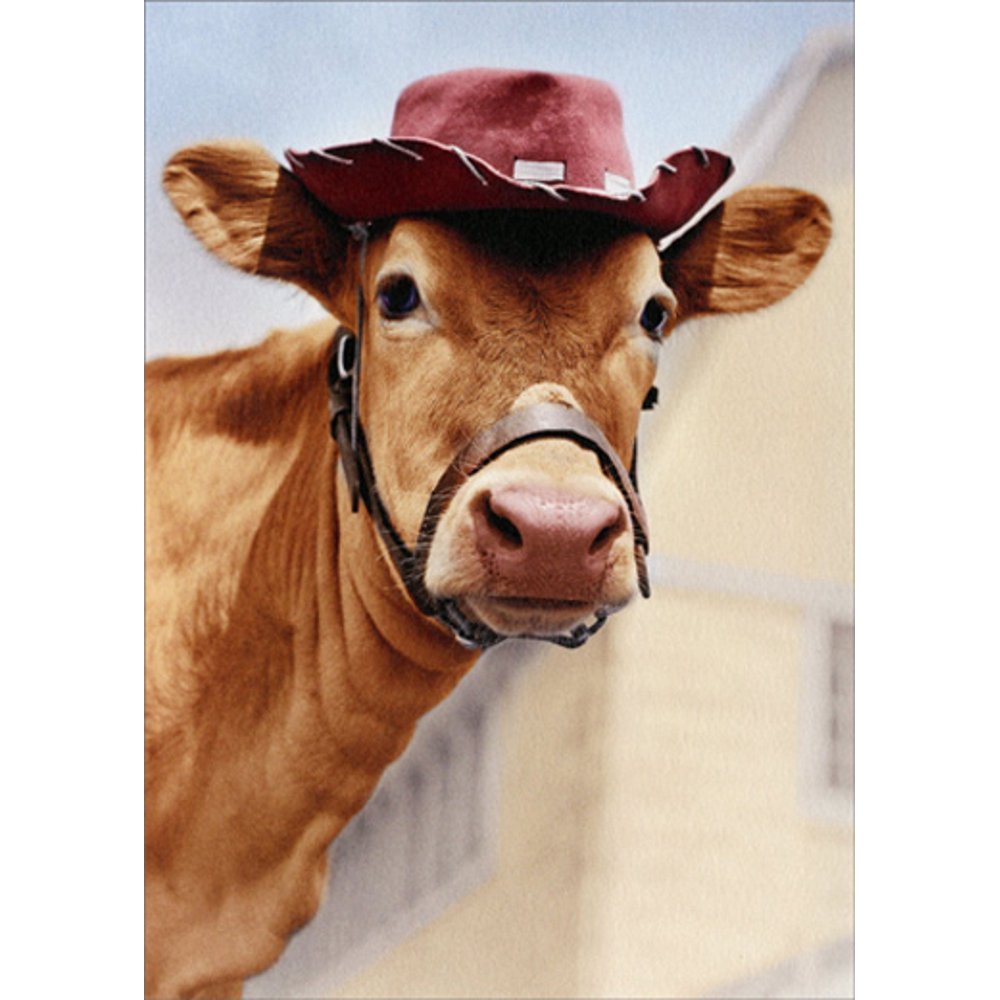 Avanti America Collection - Jersey Cow With Hat