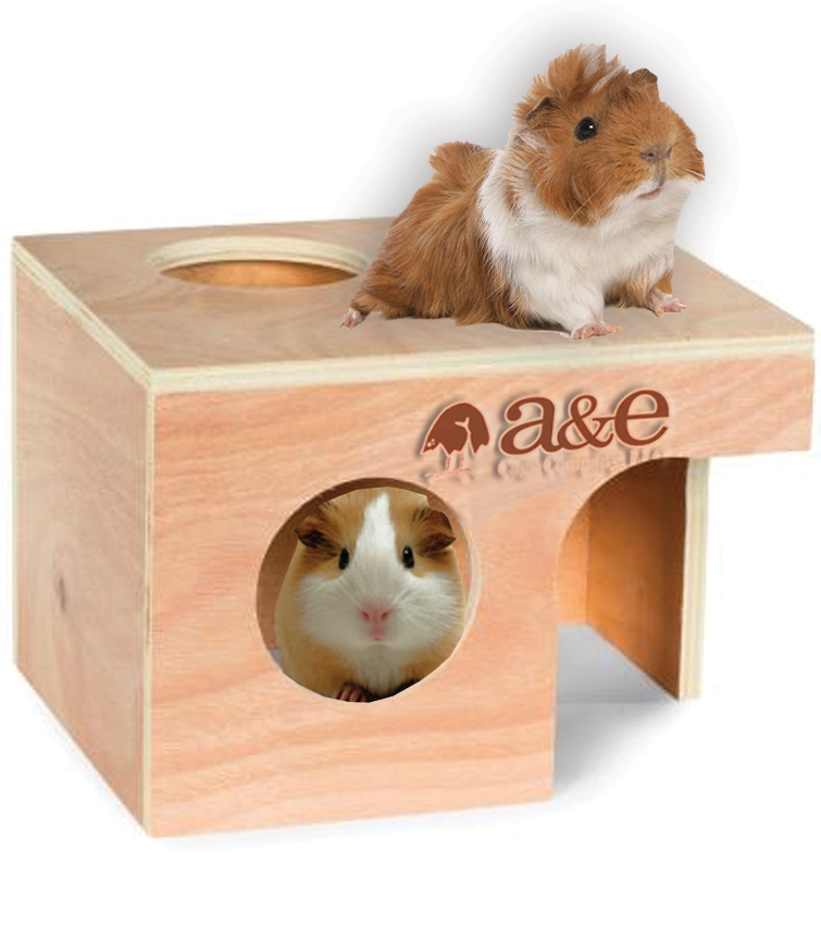 A&E Nibbles Small Animal Hut