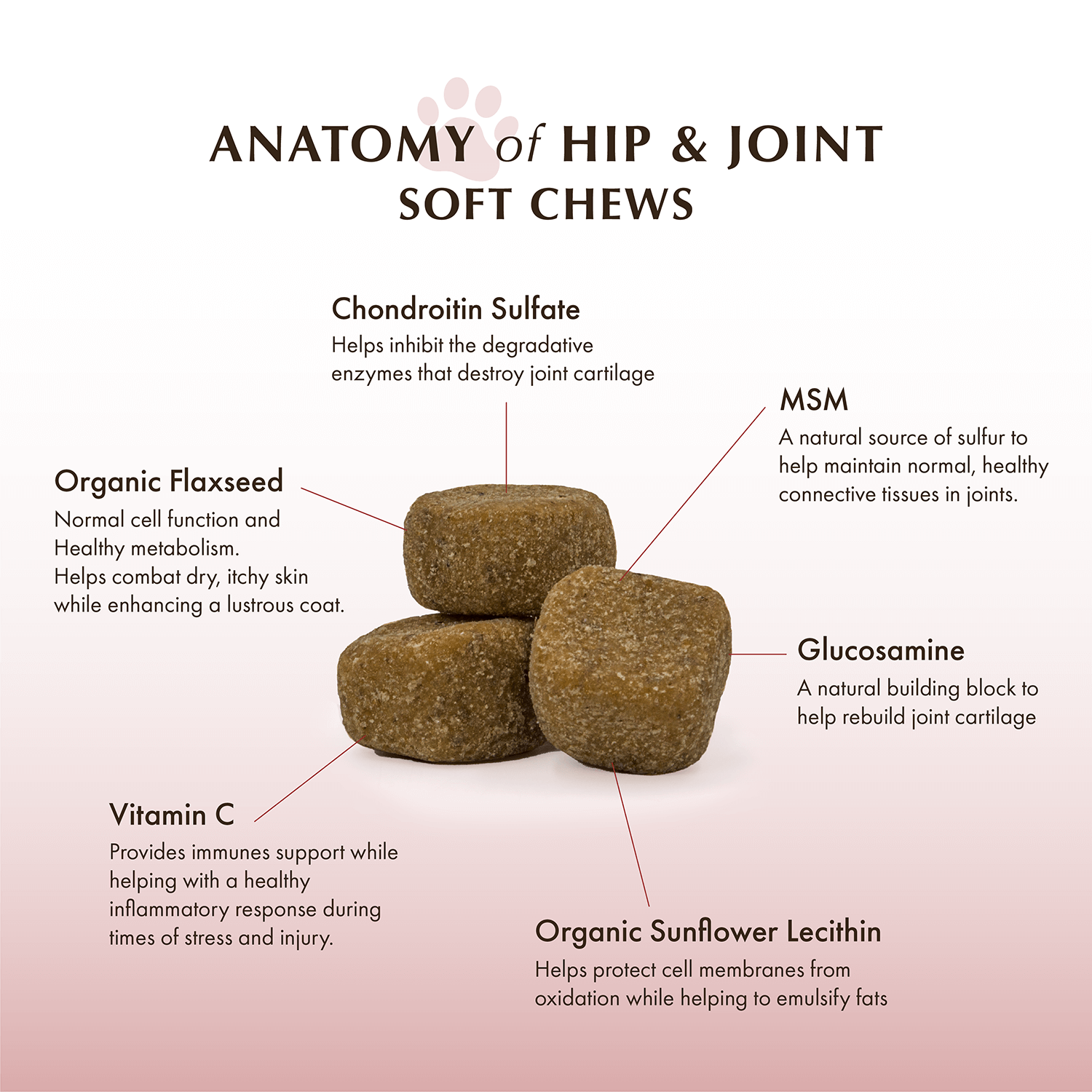 Wholistic Pet Organics Hip & Joint Soft Chews
