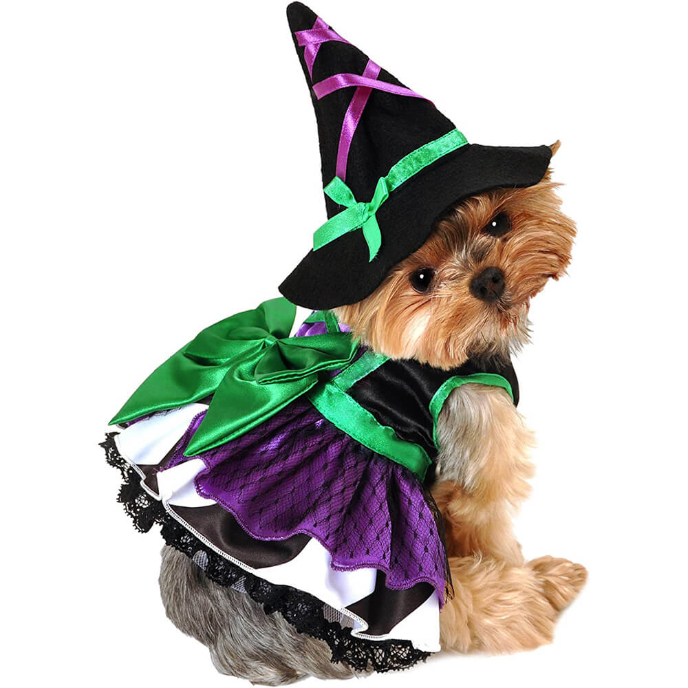 Anit Halloween Costume Scary Witch