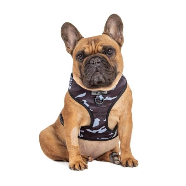 Big and Little Dogs Adjustable Harness: Black Camo