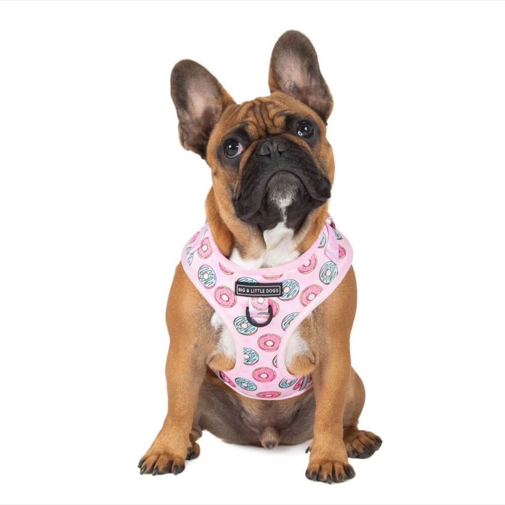 Big and Little Dogs Adjustable Harness: Donut Kill My Vibe