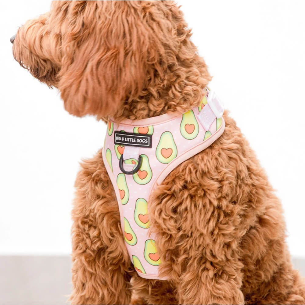 Big and Little Dogs Adjustable Harness: Let's Avo Cuddle