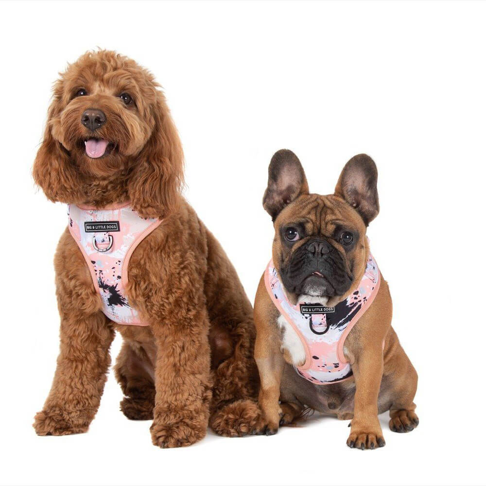 Big and Little Dogs Adjustable Harness: Peach Splatter Terrazzo