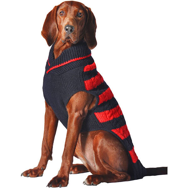 Chilly Dog Red and Navy Rugby Dog Sweater
