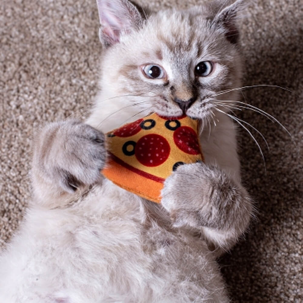 Multipet Pizza Cat Toy