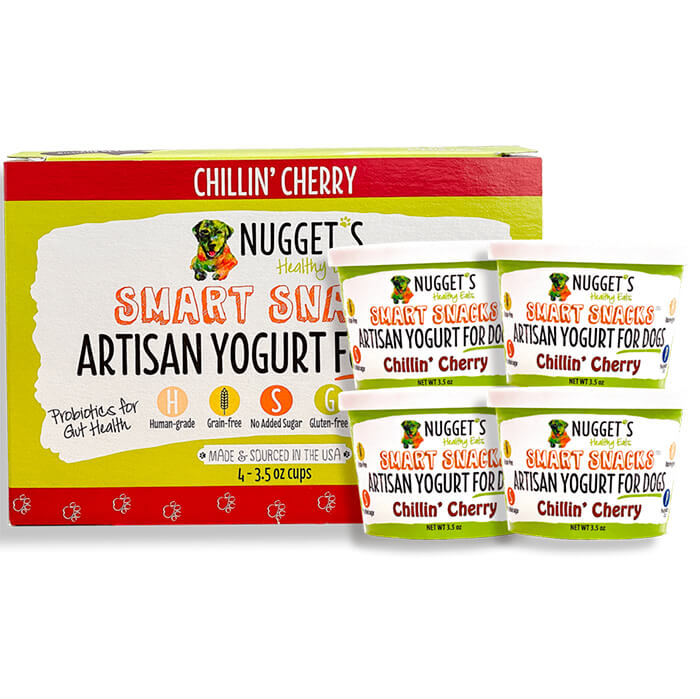 Nugget's Smart Snacks Artisan Frozen Yogurt Chillin' Cherry