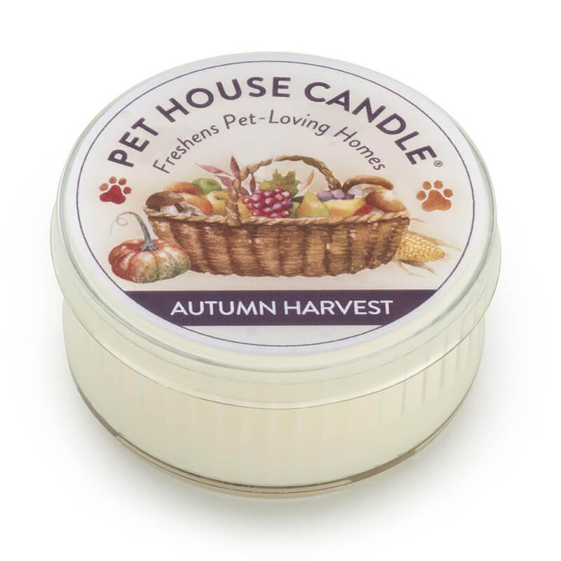 One Fur All Pet House Candle - Autumn Harvest