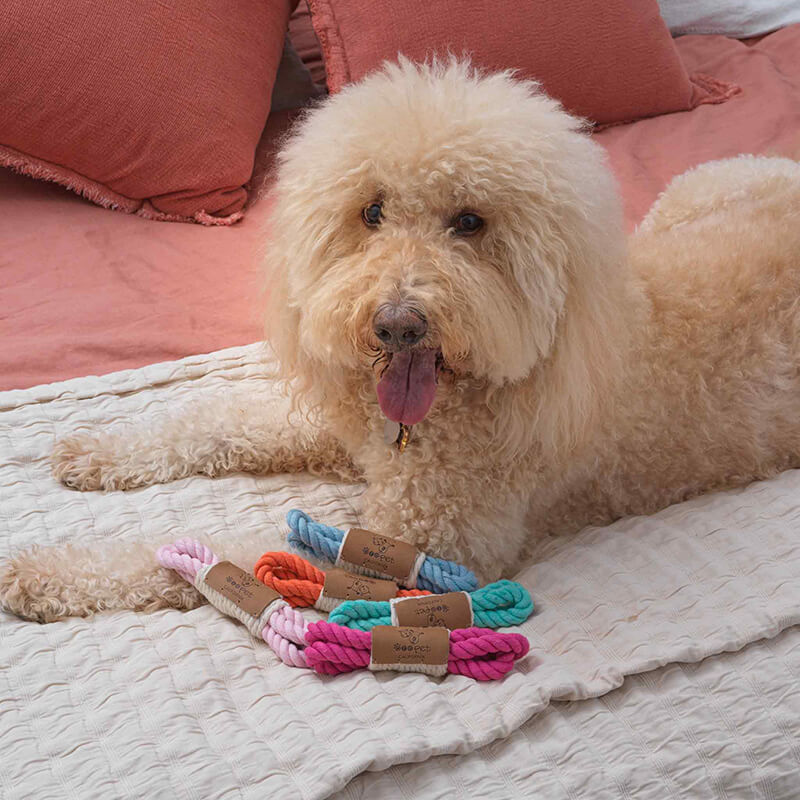 https://www.thewholisticpet.com/cdn/shop/products/ore-pet-mini-loop-rope-toy.jpg?v=1676045058