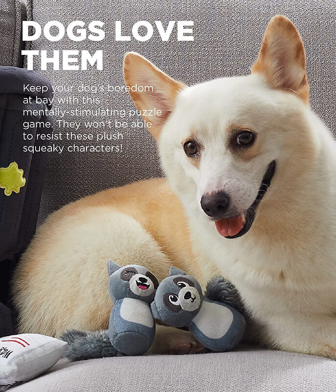 https://www.thewholisticpet.com/cdn/shop/products/outward-hound-hide-a-raccoon-plush-toy-puzzle2.jpg?v=1670446658