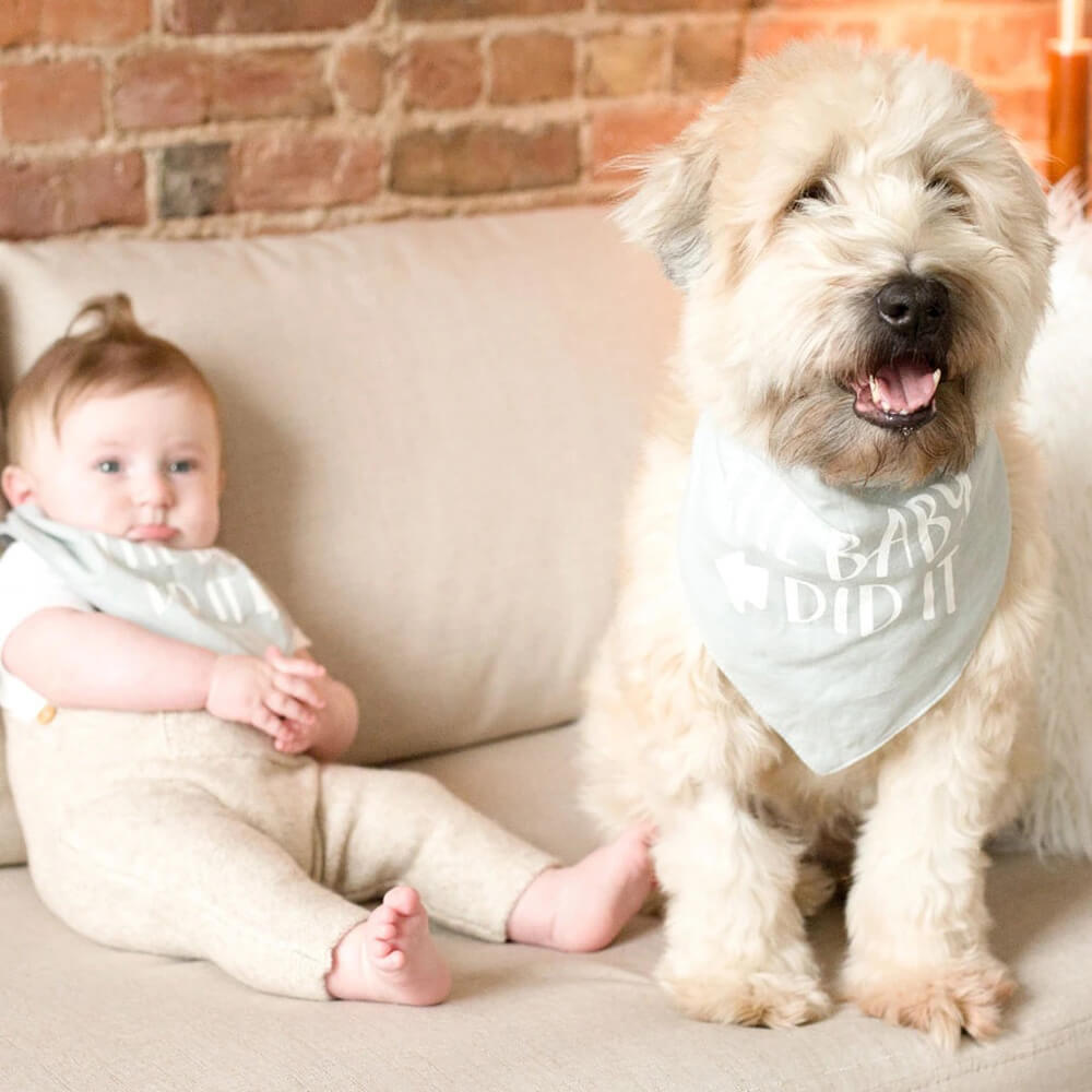 Pearhead Dog and Baby Bib Set
