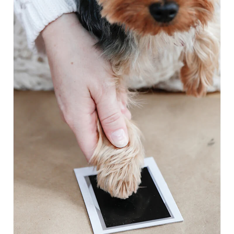 Peahead Pet Pawprint Clean-Touch Ink Pad