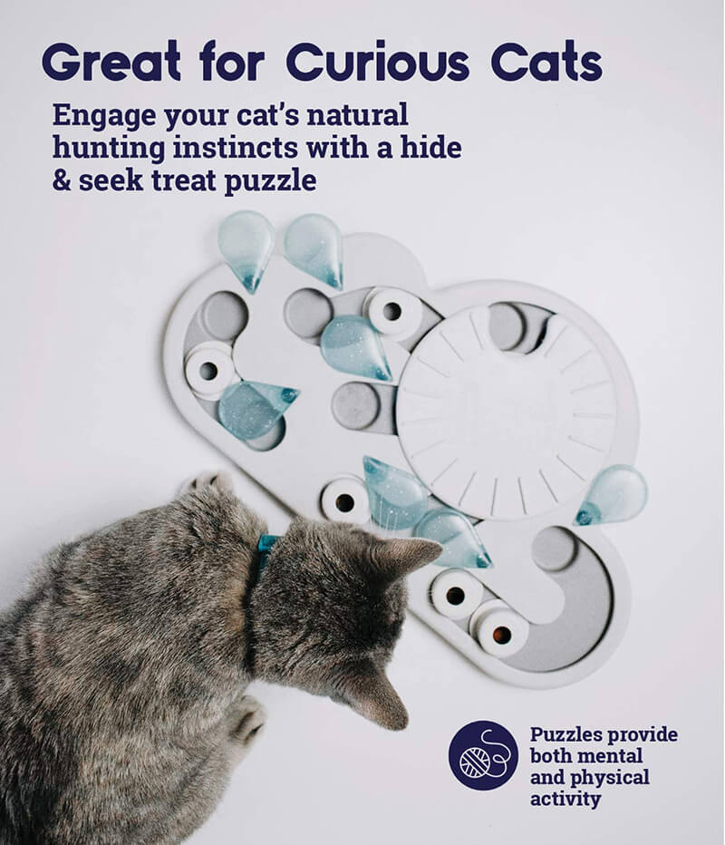 https://www.thewholisticpet.com/cdn/shop/products/petstages-rainy-day-puzzle-play-cat-treat-puzzle4.jpg?v=1666034419