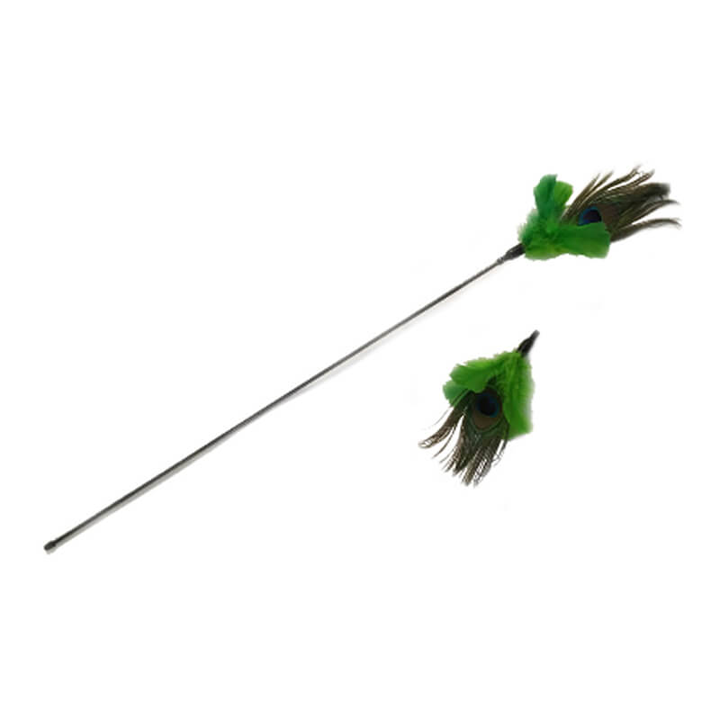 PURRfect Peacock Feather Cat Toy