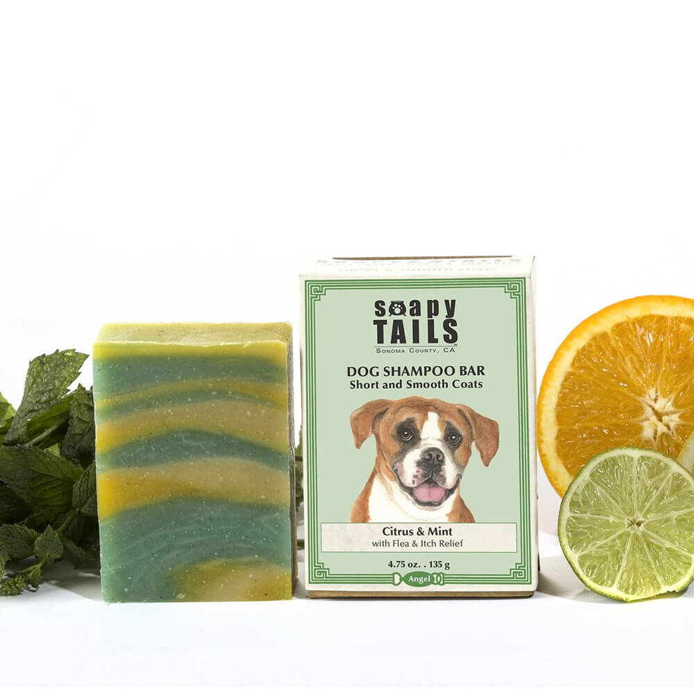 Soapy Tails Dog Shampoo Bar for Short & Smooth Coats - Citrus & Mint