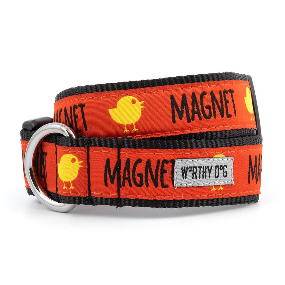 The Worthy Dog Chick Magnet Collar