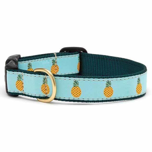 Up Country Pineapple Collar