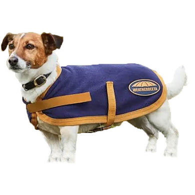 Weatherbeeta Dog coat navy/gold