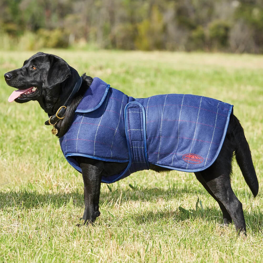 Weatherbeeta Tweed Dog Coat