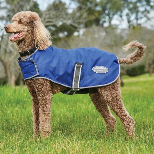 Weatherbeeta Comfitec Windbreaker Free Dog Coat