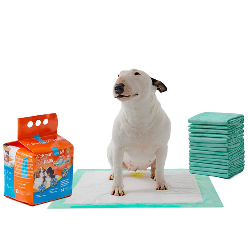 Wizsmart Super Premium All-Day Dry Dog Pads
